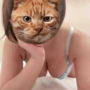 ヒメ日記 2026/03/02 22:50 投稿 もみじ なでし娘