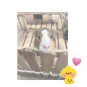 ヒメ日記 2026/02/06 12:16 投稿 みか メルビス＆アトリアーナ