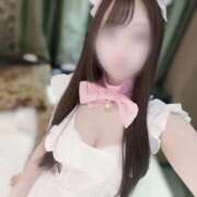 ヒメ日記 2025/11/14 16:30 投稿 モモ いたずらバニーちゃん