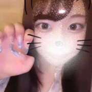 ヒメ日記 2025/11/16 15:30 投稿 モモ いたずらバニーちゃん