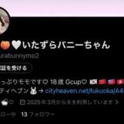 ヒメ日記 2026/02/09 19:00 投稿 モモ いたずらバニーちゃん