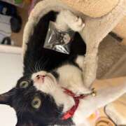 ヒメ日記 2025/12/01 08:02 投稿 みか 風鈴（ふうりん）