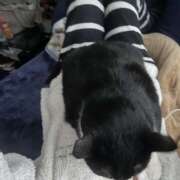 ヒメ日記 2025/12/04 09:01 投稿 みか 風鈴（ふうりん）