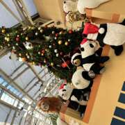 ヒメ日記 2025/12/17 07:57 投稿 みか 風鈴（ふうりん）