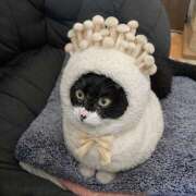 ヒメ日記 2025/12/22 06:57 投稿 みか 風鈴（ふうりん）