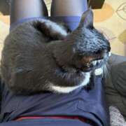 ヒメ日記 2025/12/30 05:01 投稿 みか 風鈴（ふうりん）