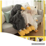 ヒメ日記 2026/02/07 13:02 投稿 みか 風鈴（ふうりん）