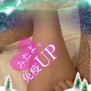 ヒメ日記 2026/03/13 08:18 投稿 みか 風鈴（ふうりん）