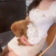 ヒメ日記 2025/10/22 00:46 投稿 ゆいか ぐっすり山田　池袋店