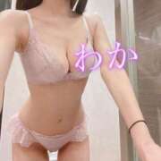 ヒメ日記 2026/02/08 13:31 投稿 和泉わか ミセスレディ