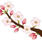 ヒメ日記 2026/04/11 20:16 投稿 和泉わか ミセスレディ