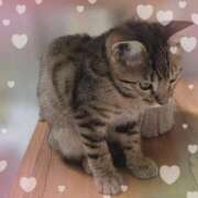 ヒメ日記 2025/10/28 12:57 投稿 ゆいな 完熟ばなな 立川