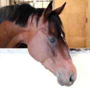 ヒメ日記 2025/11/06 10:37 投稿 ゆいな 完熟ばなな 立川