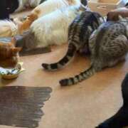 ヒメ日記 2025/11/06 14:57 投稿 ゆいな 完熟ばなな 立川