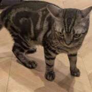 ヒメ日記 2025/11/08 20:27 投稿 ゆいな 完熟ばなな 立川