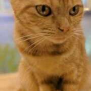 ヒメ日記 2025/12/24 09:37 投稿 ゆいな 完熟ばなな 立川