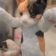 ヒメ日記 2025/12/27 14:47 投稿 ゆいな 完熟ばなな 立川