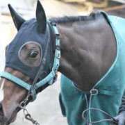 ヒメ日記 2025/12/29 13:37 投稿 ゆいな 完熟ばなな 立川