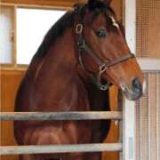 ヒメ日記 2026/01/02 12:07 投稿 ゆいな 完熟ばなな 立川