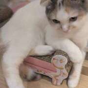 ヒメ日記 2026/01/11 18:37 投稿 ゆいな 完熟ばなな 立川