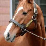 ヒメ日記 2026/01/14 18:17 投稿 ゆいな 完熟ばなな 立川