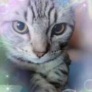 ゆいな こんばんは 完熟ばなな 立川