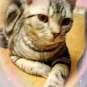 ヒメ日記 2026/02/12 23:17 投稿 ゆいな 完熟ばなな 立川