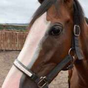 ヒメ日記 2026/03/05 16:47 投稿 ゆいな 完熟ばなな 立川