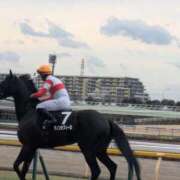 ヒメ日記 2026/03/17 15:37 投稿 ゆいな 完熟ばなな 立川