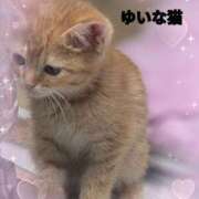 ヒメ日記 2026/03/30 13:07 投稿 ゆいな 完熟ばなな 立川