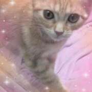 ヒメ日記 2026/04/18 20:24 投稿 ゆいな 完熟ばなな 立川