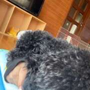 ヒメ日記 2025/11/21 14:30 投稿 コトミ RING