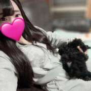 ヒメ日記 2025/11/29 07:01 投稿 コトミ RING