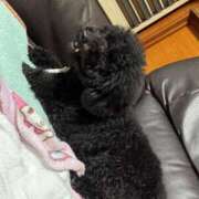 ヒメ日記 2026/01/11 12:30 投稿 コトミ RING