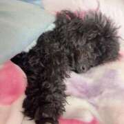 ヒメ日記 2026/03/16 08:16 投稿 コトミ RING