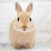 ヒメ日記 2025/10/24 09:42 投稿 あいか Polaris（ポラリス）