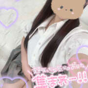 ヒメ日記 2025/12/22 13:47 投稿 みな ぽちゃカワ女子専門店宇都宮店