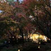 Misaki 11月ももう終わり……晩秋のおすそ分け🍁🍂⛄️ THE PREMIUM （プレミアム）