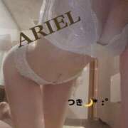 ヒメ日記 2025/11/12 12:30 投稿 つき ARIEL（アリエル）（宮崎）