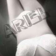 ヒメ日記 2026/02/19 09:55 投稿 つき ARIEL（アリエル）（宮崎）