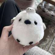 ヒメ日記 2025/10/18 13:16 投稿 ゆき【超カワ美少女は未経験】 STELLA NEXT－ステラネクスト－