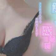 ヒメ日記 2025/11/17 17:58 投稿 ゆき【超カワ美少女は未経験】 STELLA NEXT－ステラネクスト－