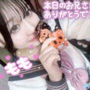 ヒメ日記 2025/10/27 01:43 投稿 もも 桜フェアリーテイル