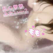 ヒメ日記 2025/11/11 17:33 投稿 もも 桜フェアリーテイル