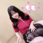 ヒメ日記 2025/11/15 17:25 投稿 もも 桜フェアリーテイル