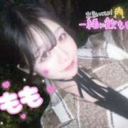 ヒメ日記 2025/12/05 17:30 投稿 もも 桜フェアリーテイル