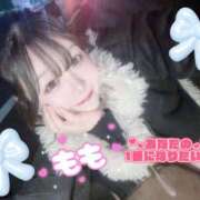 ヒメ日記 2025/12/19 17:35 投稿 もも 桜フェアリーテイル