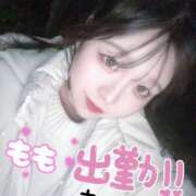 ヒメ日記 2026/01/08 17:26 投稿 もも 桜フェアリーテイル