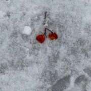 ヒメ日記 2025/12/12 01:05 投稿 ここみ 池袋マリン別館