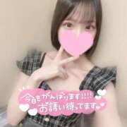 ヒメ日記 2025/11/02 12:25 投稿 せれん クラブ貴公子